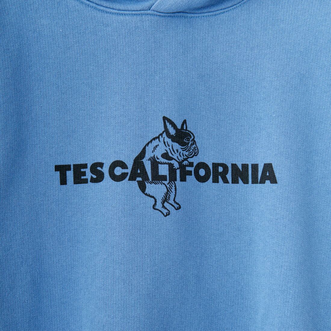 The Endless Summer [エンドレスサマー] BUHI オールスタースウェットパーカー [FH-24774322] 64 SAX