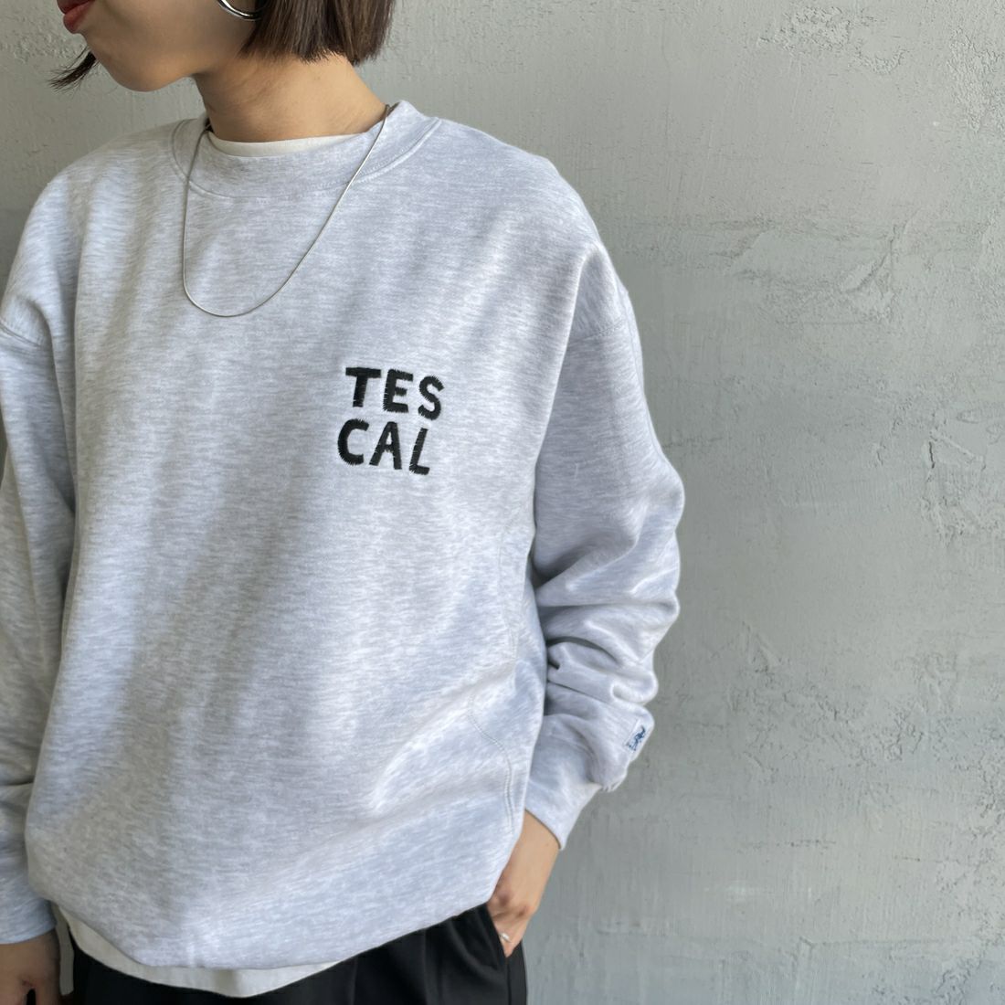 The Endless Summer [エンドレスサマー] 別注 TES CALIF MAP バック刺繍スウェット [C-24774504-JF] 03 GRAY