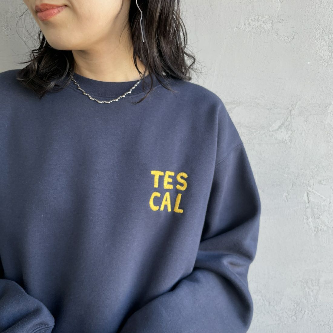 The Endless Summer [エンドレスサマー] 別注 TES CALIF MAP バック刺繍スウェット [C-24774504-JF] 60 NAVY