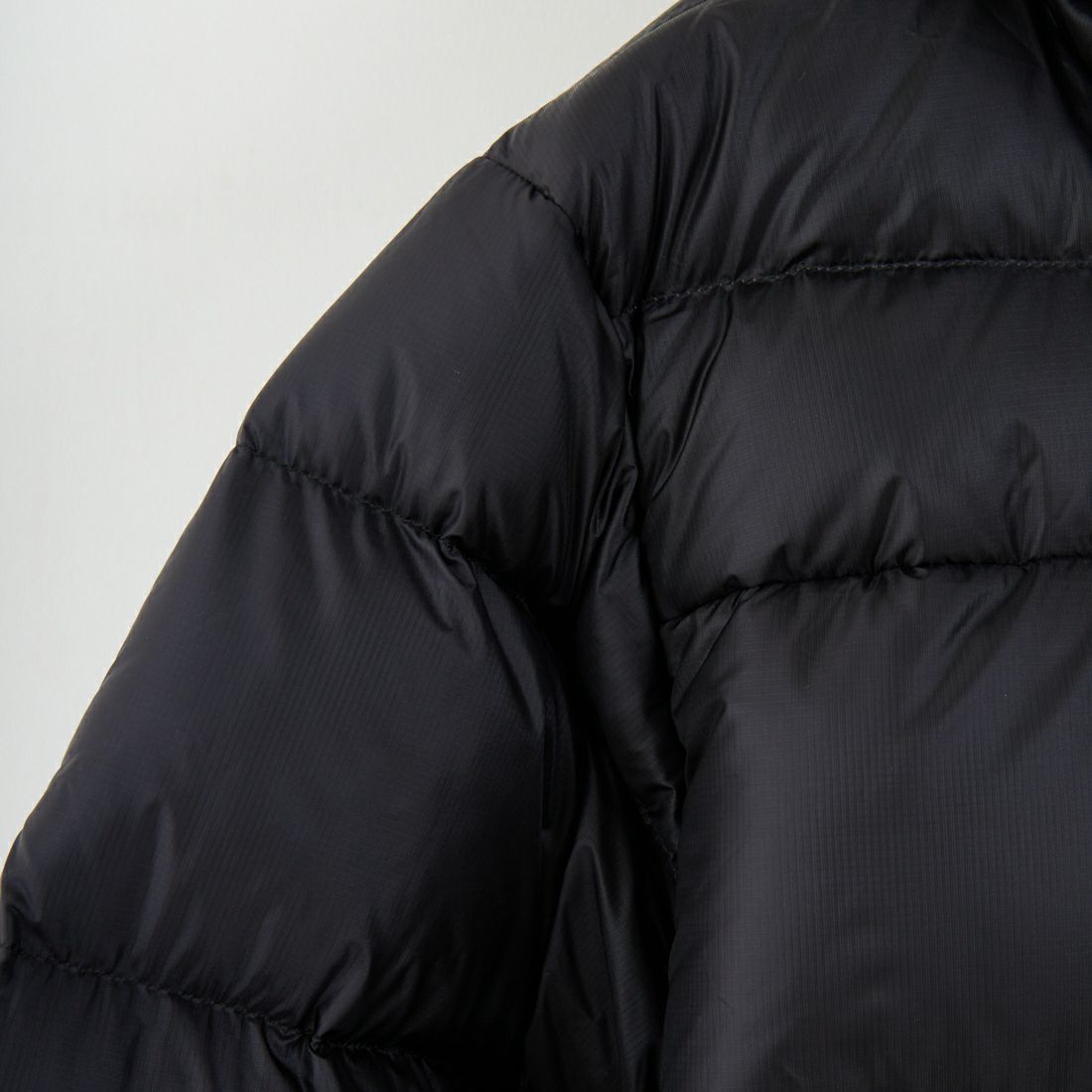 patagonia [パタゴニア] メンズ フィッツロイ ダウンフーディ [85500] BLK