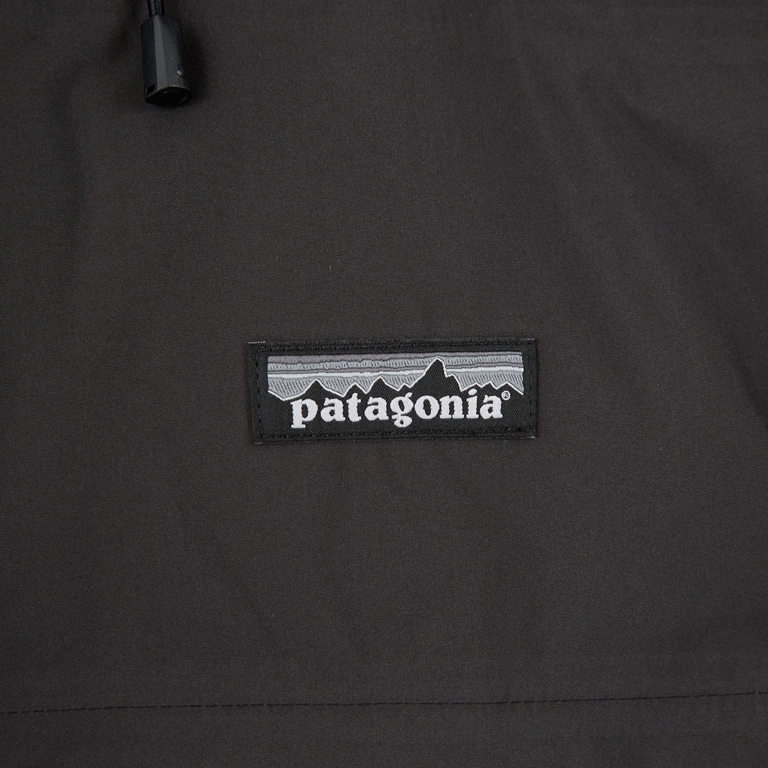 patagonia [パタゴニア] メンズ ジャクソン グレイシャージャケット [27921] BLK