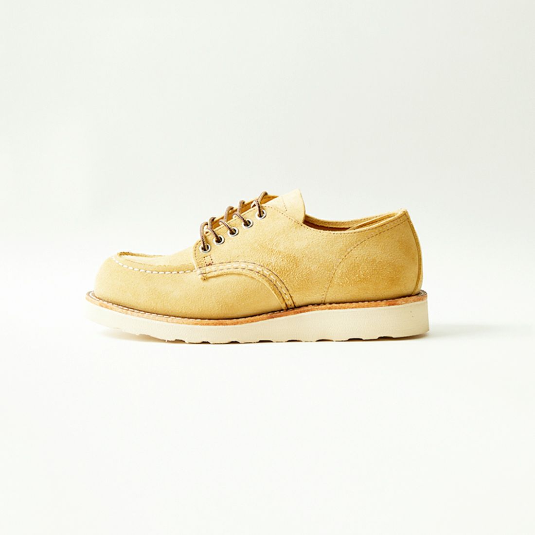 ﾎｰｿｰﾝ ｱﾋﾞﾘ