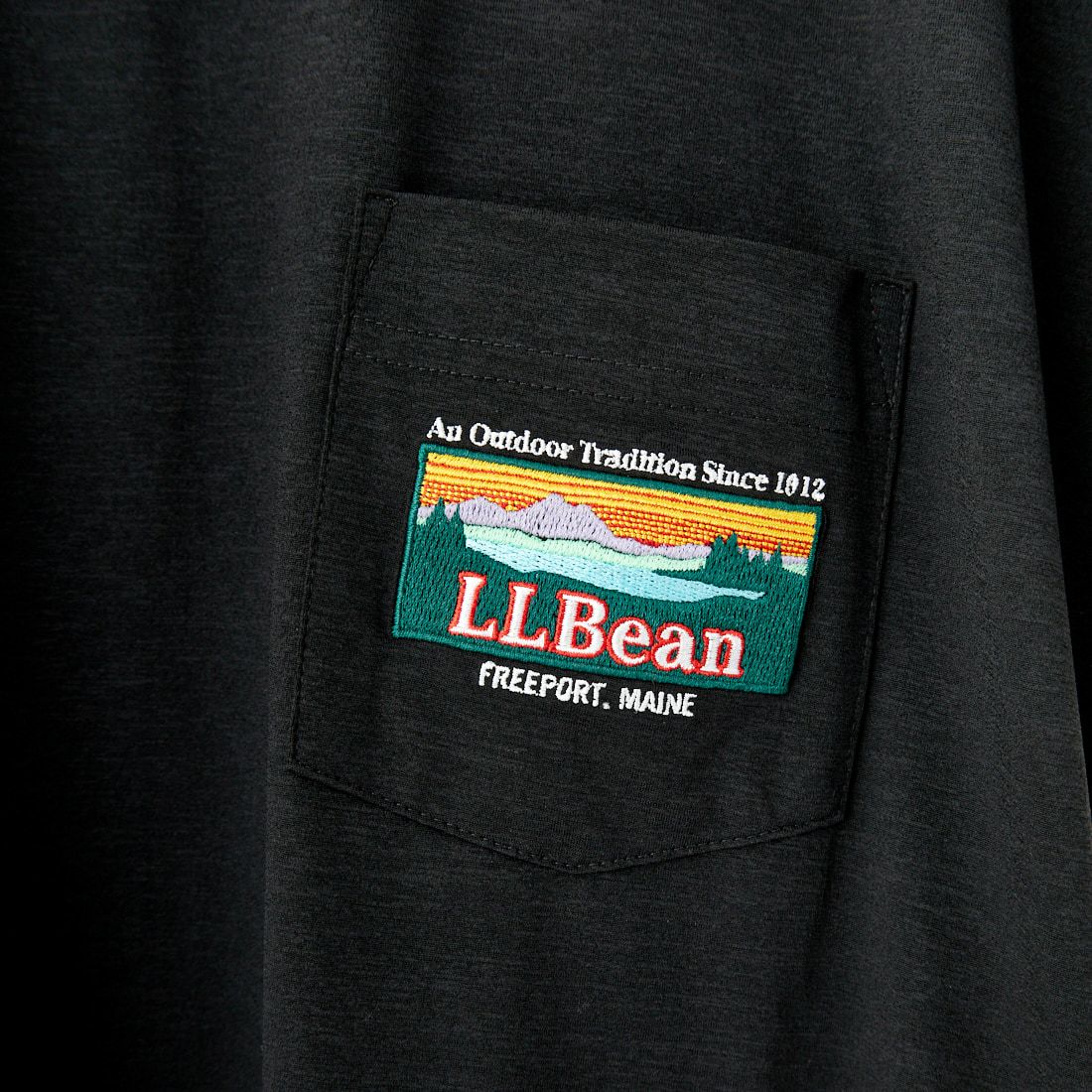 L.L.BEAN [エルエルビーン] サマーショートスリーブドレス [5275-0148] 48 CHARCOA