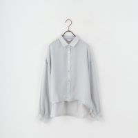 810 ﾗｲﾄｸﾞﾚ