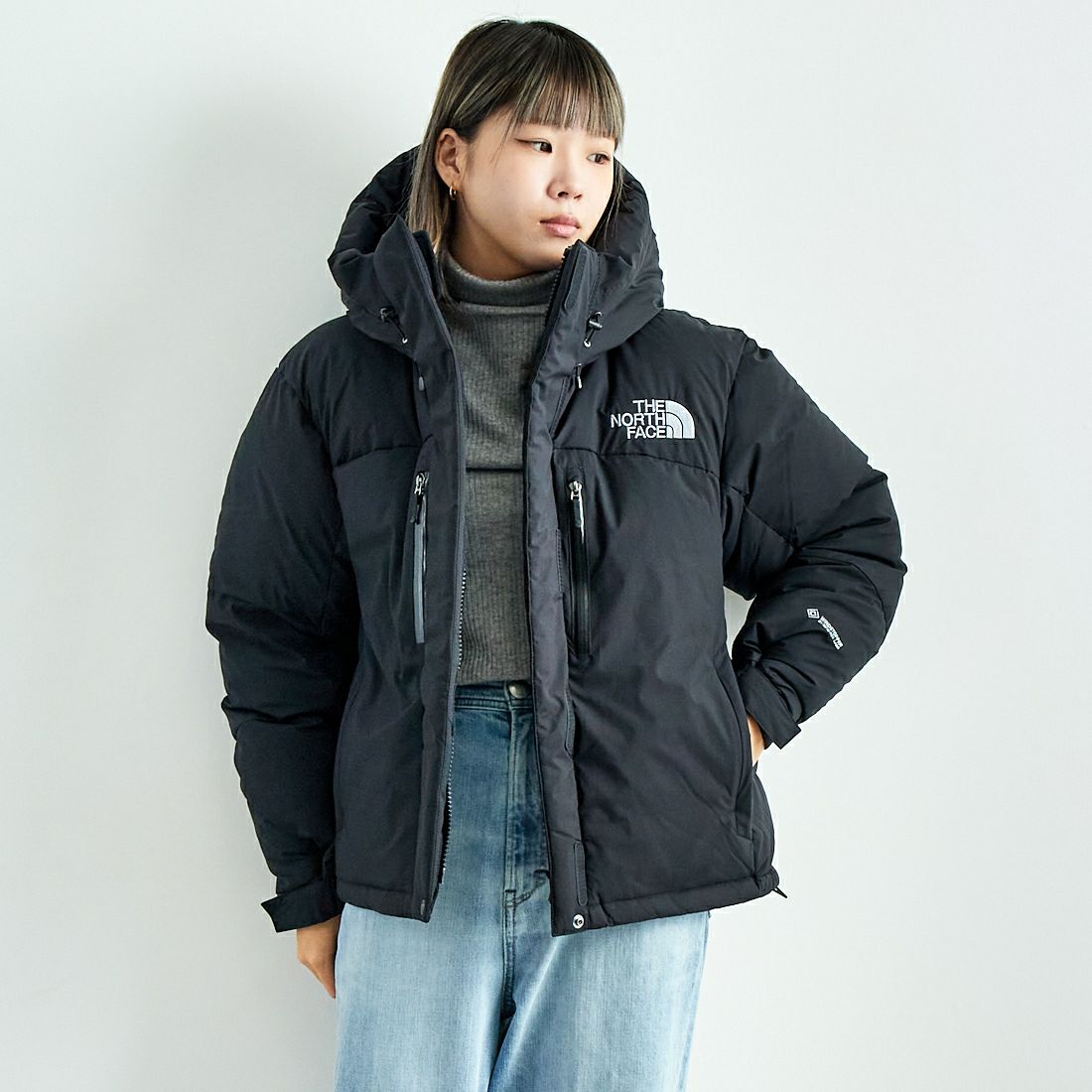 THE NORTH FACE [ザ ノースフェイス] ショートバルトロライトジャケット [NDW92450]