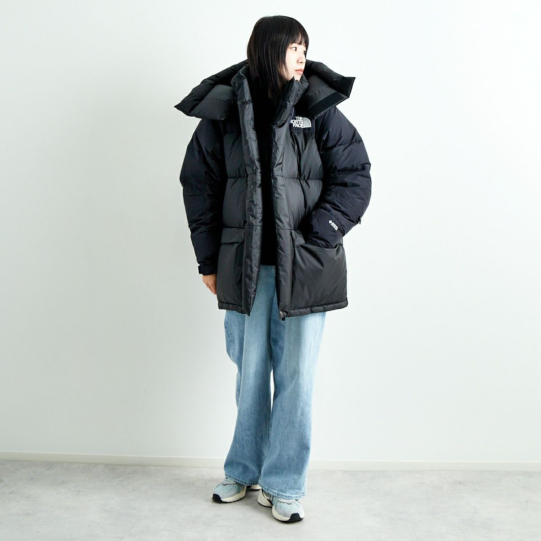 ザ・ノース・フェイス THE NORTH FACE ND92031 ヒム ダウン パーカ HIM DOWN PARKA ゴアテックス ジャケット  アウター アウトドア メンズ レディース 撥水 防風 防寒 保温 K ブラック 国内正規 2024AW 20%OFF セール | LOWBROW 