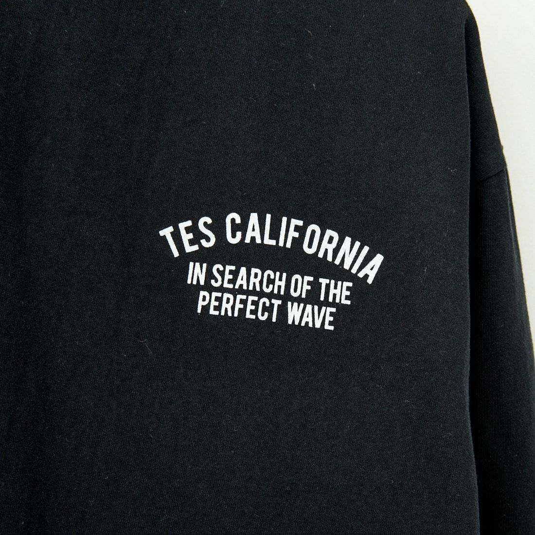 The Endless Summer [エンドレスサマー] TES サークルロゴロングスリーブTシャツ [FH-25374316] 01 BLACK