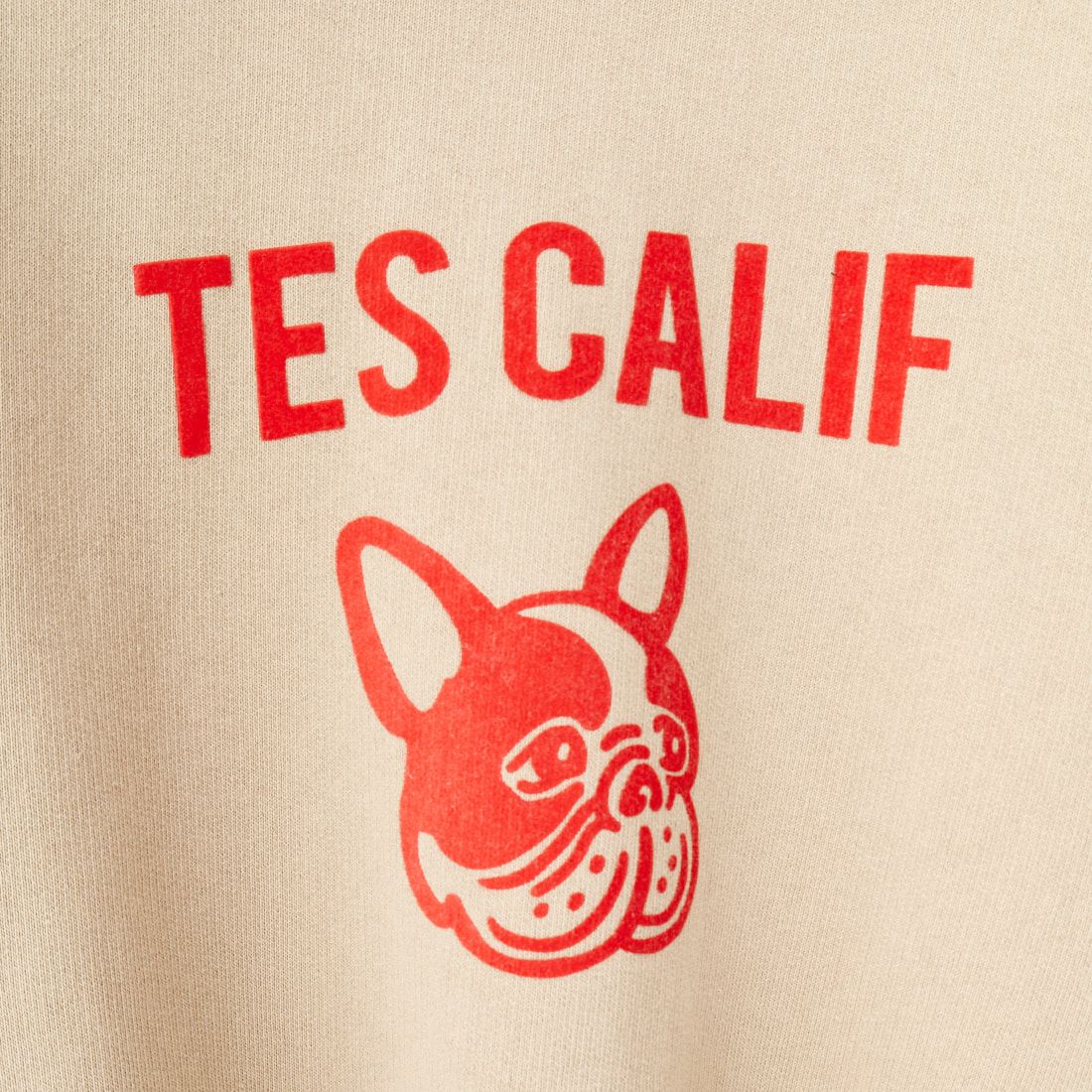 The Endless Summer [エンドレスサマー] 別注 BUHIフロッキープリントスウェット [FH-24774503-JF] 35 BEIGE