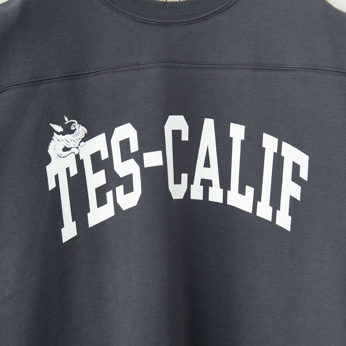 The Endless Summer [エンドレスサマー] TES CALIF フットボールTシャツ [FH-25374310] 02 CHARCOA