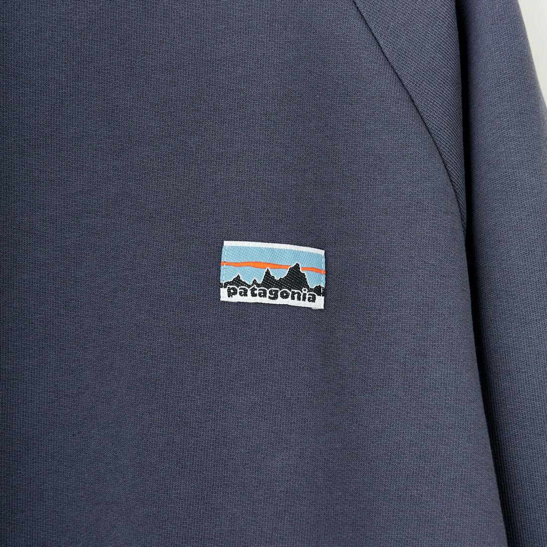 patagonia [パタゴニア] ウィメンズ エッセンシャルトップ [42171] SMDB