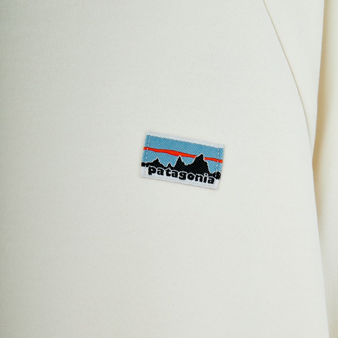 patagonia [パタゴニア] ウィメンズ エッセンシャルトップ [42171] WLWT