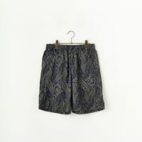 A PAISLEY