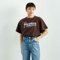 THE SHINZONE [ザ シンゾーン] フィクションTシャツ [25SMSCU12