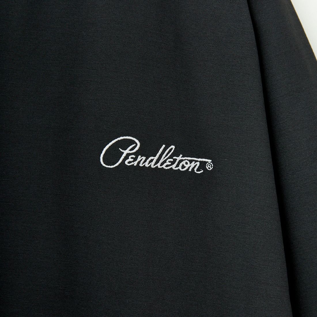 PENDLETON [ペンドルトン] 別注 ドローコード付き ネイティブ柄バックプリントTシャツ [5275-0204-JF] BLACK