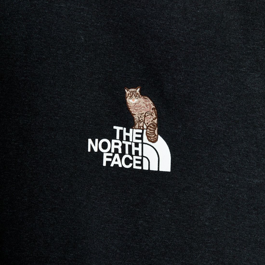 THE NORTH FACE [ザ ノースフェイス] ショートスリーブ ズーピッカーTシャツ [NT32534] K