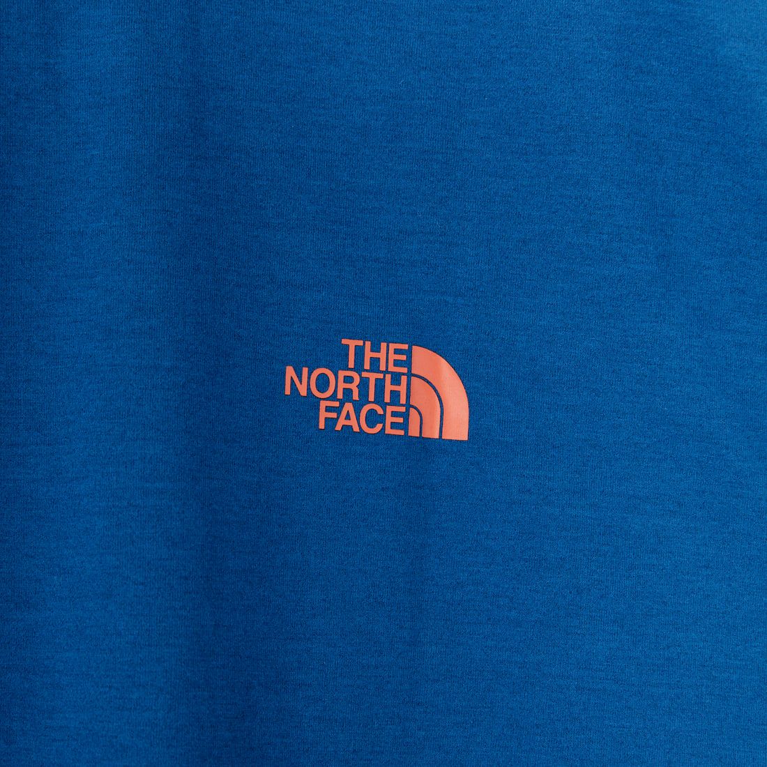 THE NORTH FACE [ザ ノースフェイス] ショートスリーブ ES66ロゴワイドTシャツ [NT32597] OB