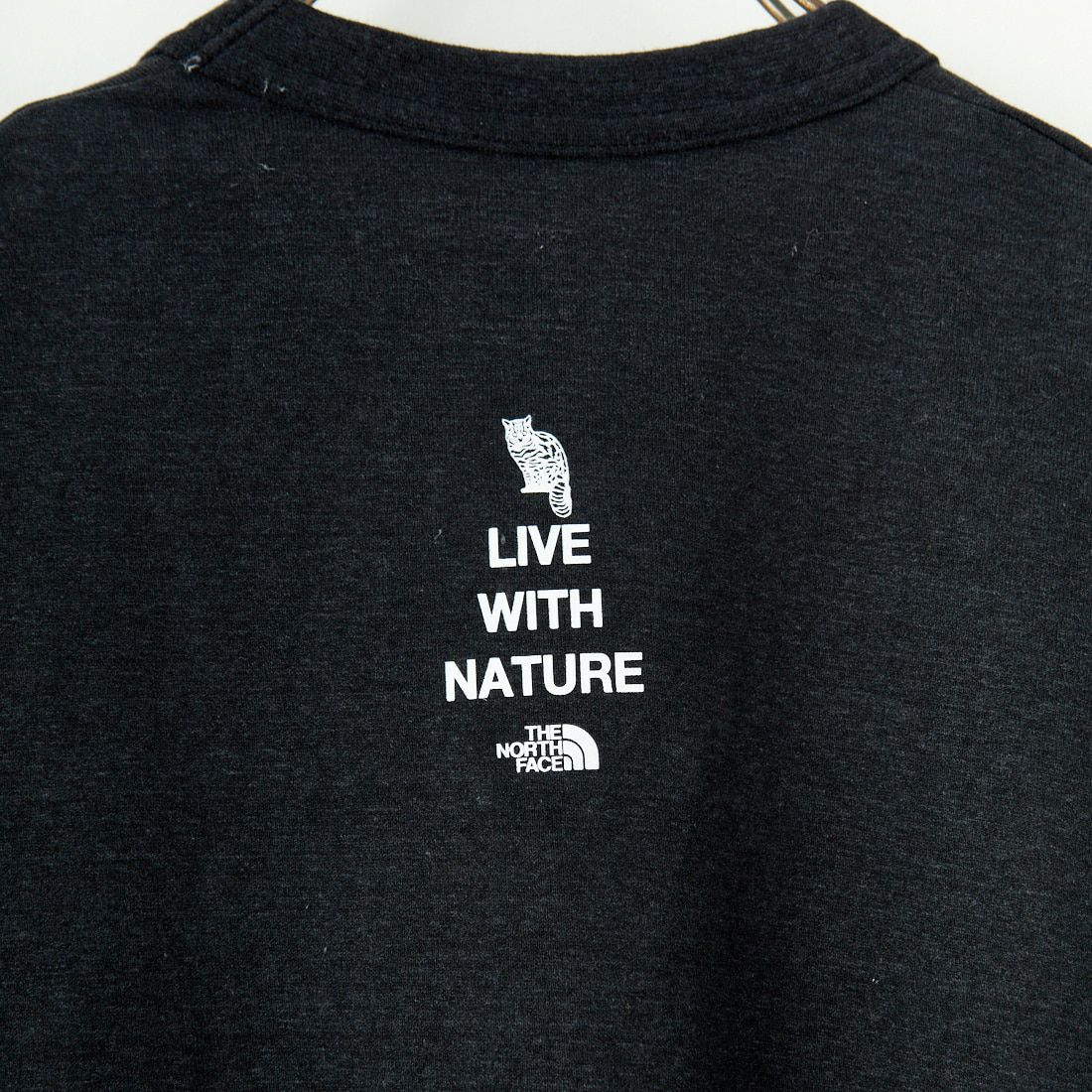 THE NORTH FACE [ザ ノースフェイス] ロングスリーブ ズーピッカーTシャツ [NT32533] K