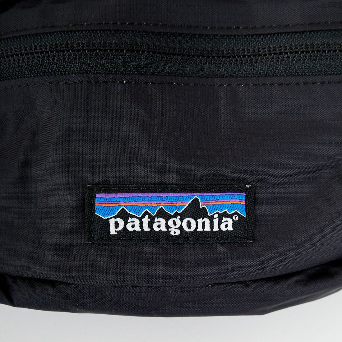 patagonia [パタゴニア] テラヴィア ミニヒップパック [49448] BLK