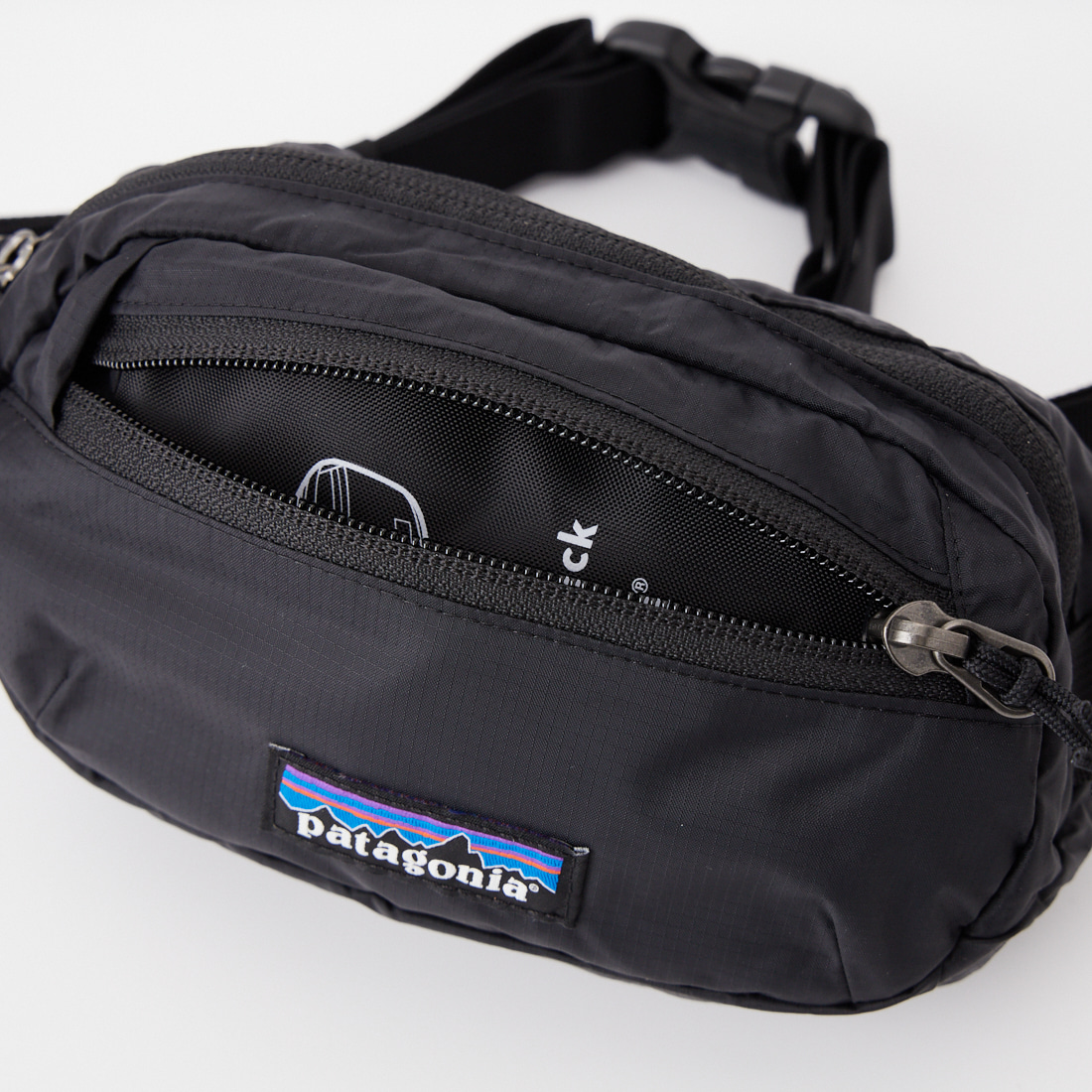 patagonia [パタゴニア] テラヴィア ミニヒップパック [49448] BLK