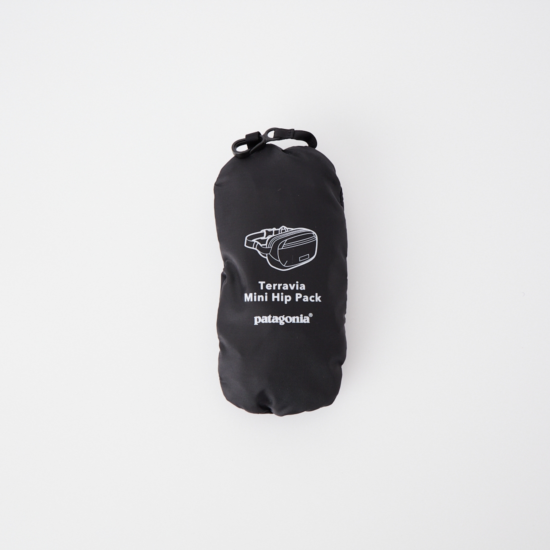 patagonia [パタゴニア] テラヴィア ミニヒップパック [49448] PWNO