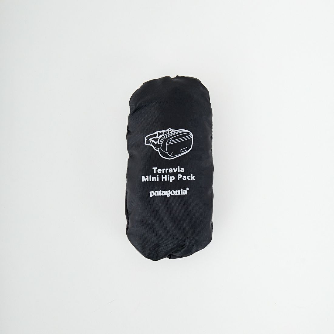 patagonia [パタゴニア] テラヴィア ミニヒップパック [49448] BLK