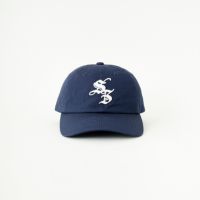85 NAVY