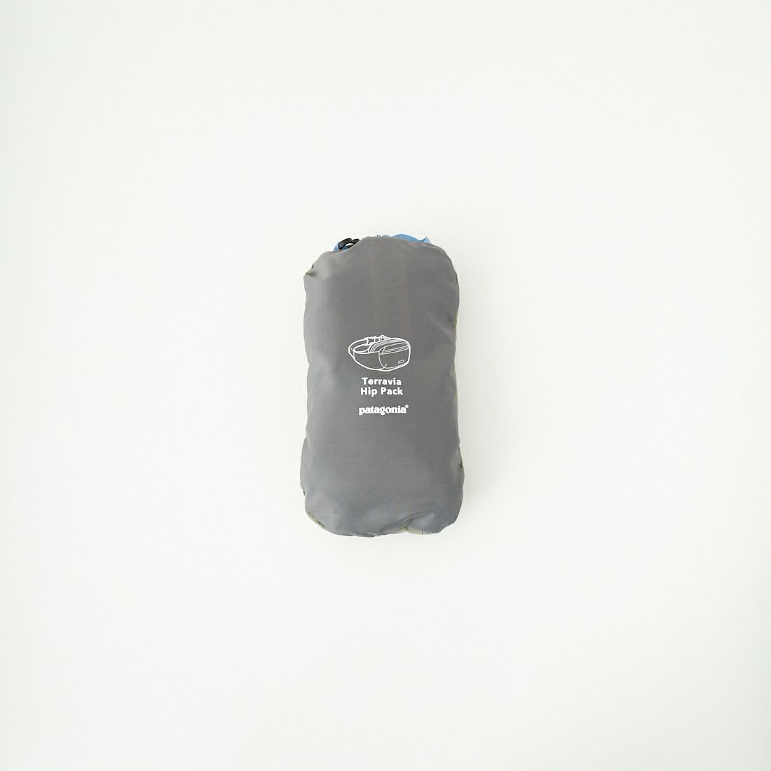 patagonia [パタゴニア] テラヴィア ヒップパック 5L [49021] RVGN