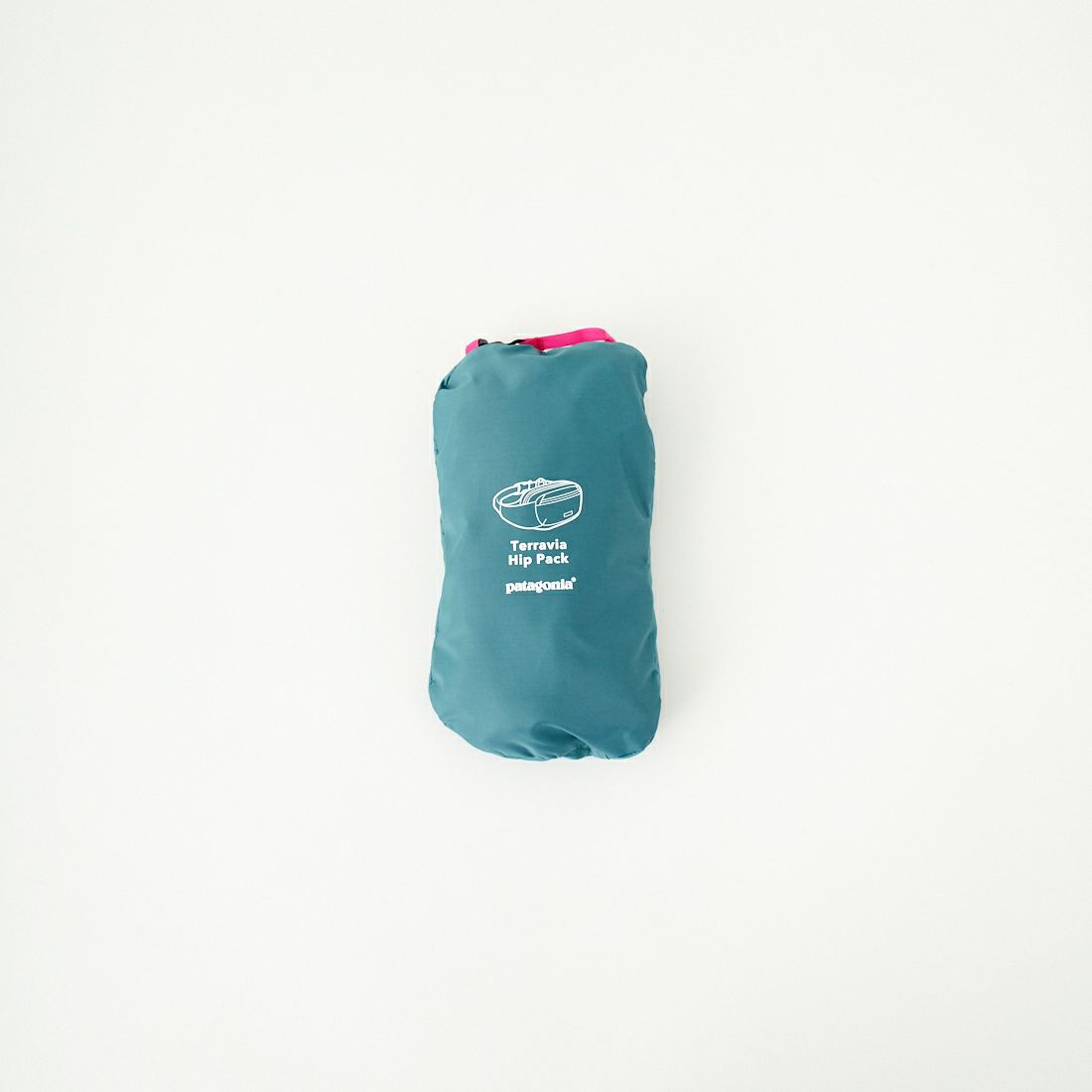 patagonia [パタゴニア] テラヴィア ヒップパック 5L [49021] WLDB