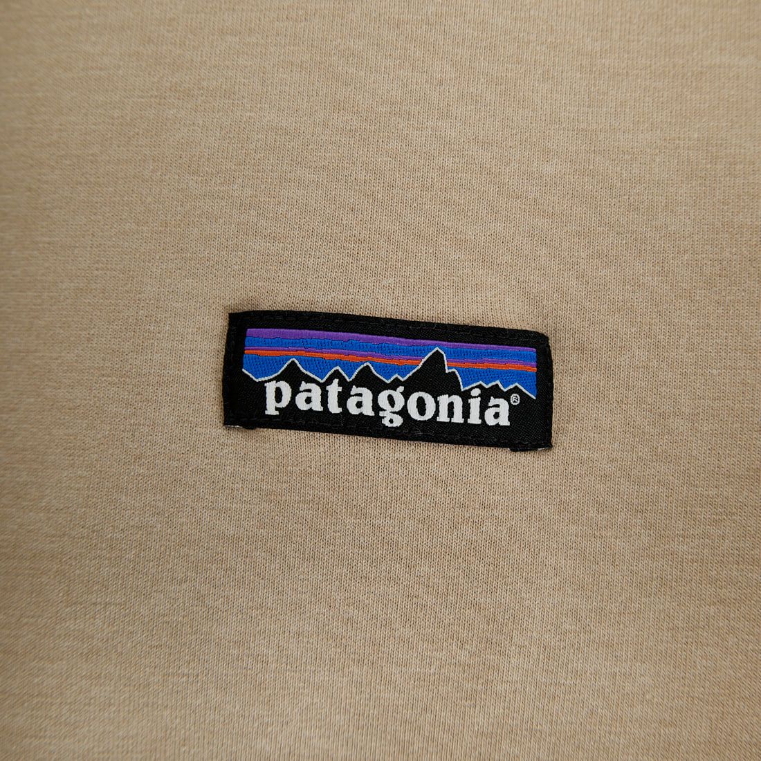 patagonia [パタゴニア] ウィメンズ アーニャフルジップフーディ [42146] SBDY