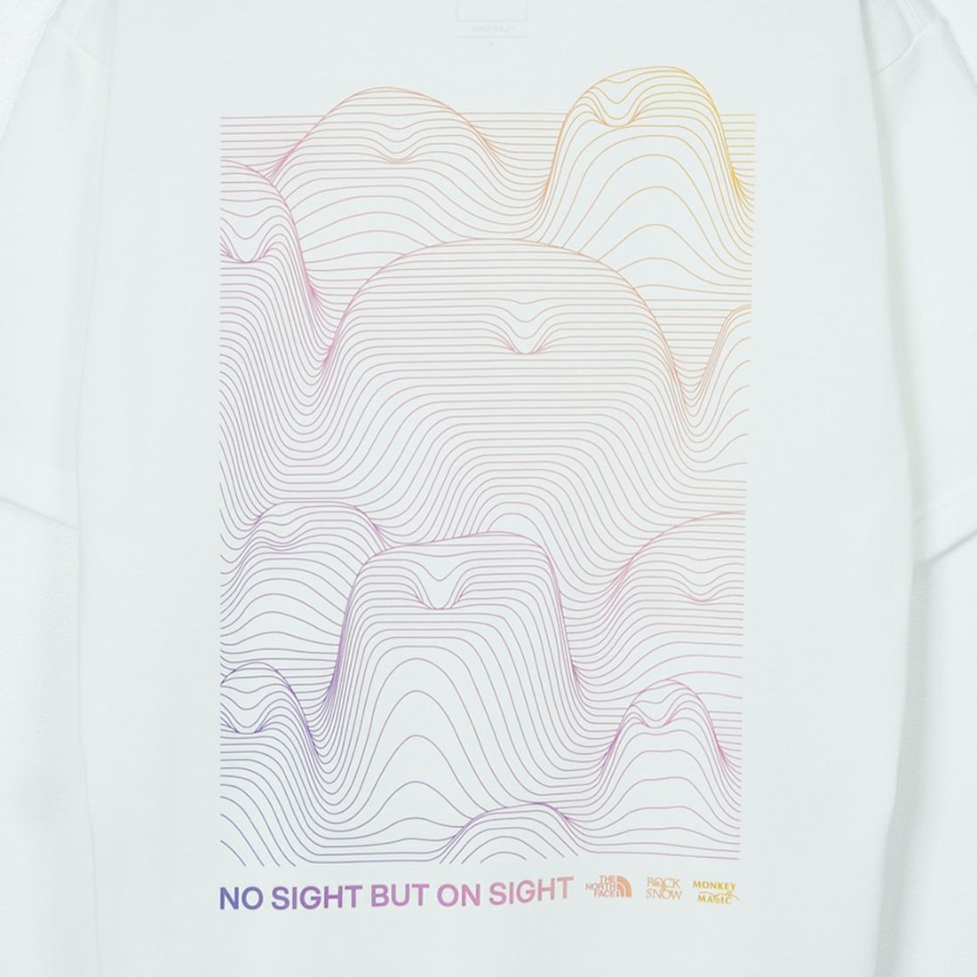 THE NORTH FACE [ザ ノースフェイス] ショートスリーブ TNFモンキーマジックTシャツ [NT32538] W