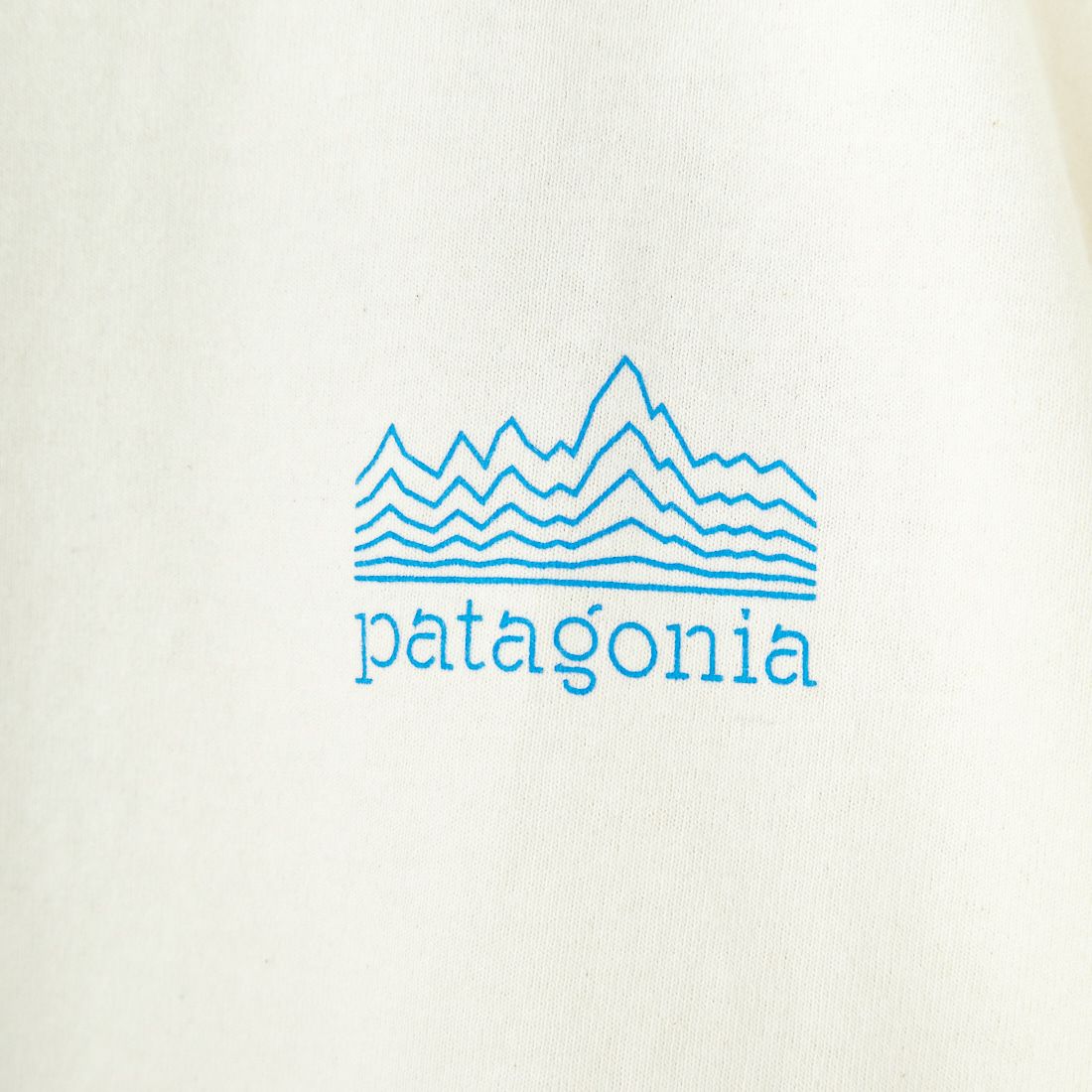 patagonia [パタゴニア] ストラタスパイア レスポンシビリティーTシャツ [37792] BCW