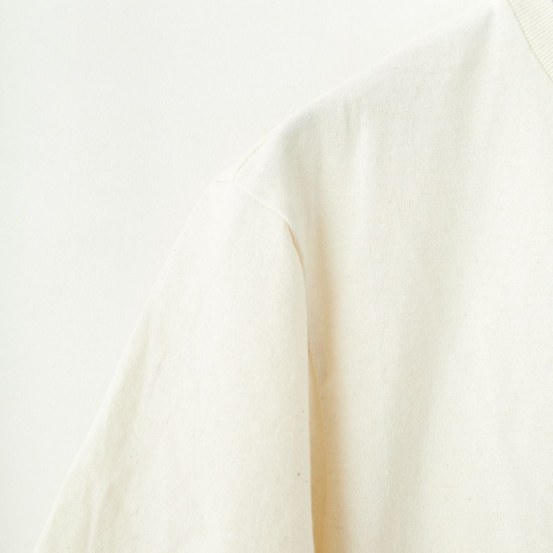 patagonia [パタゴニア] ストラタスパイア レスポンシビリティーTシャツ [37792] BCW
