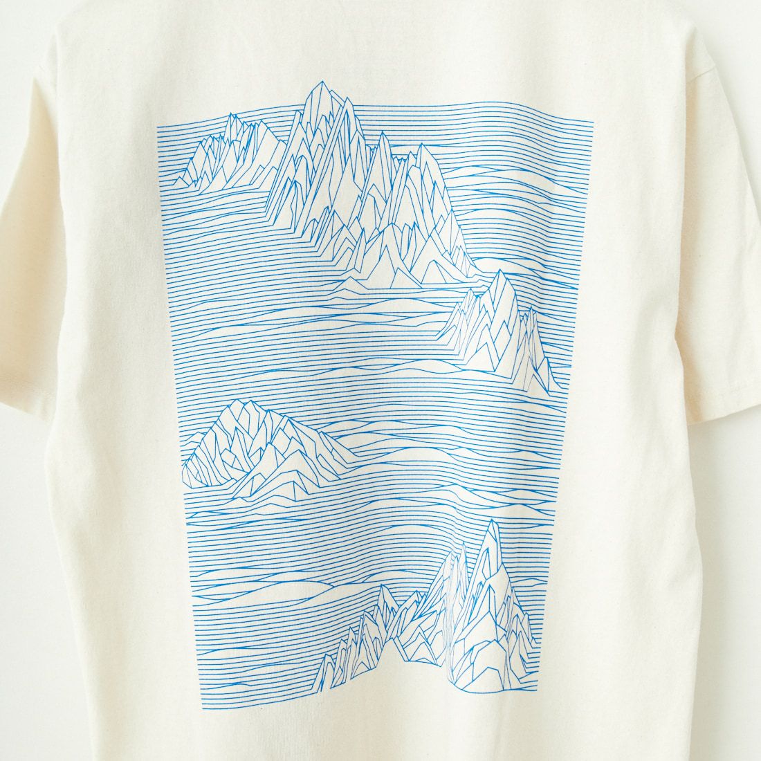 patagonia [パタゴニア] ストラタスパイア レスポンシビリTシャツ [37792] BCW