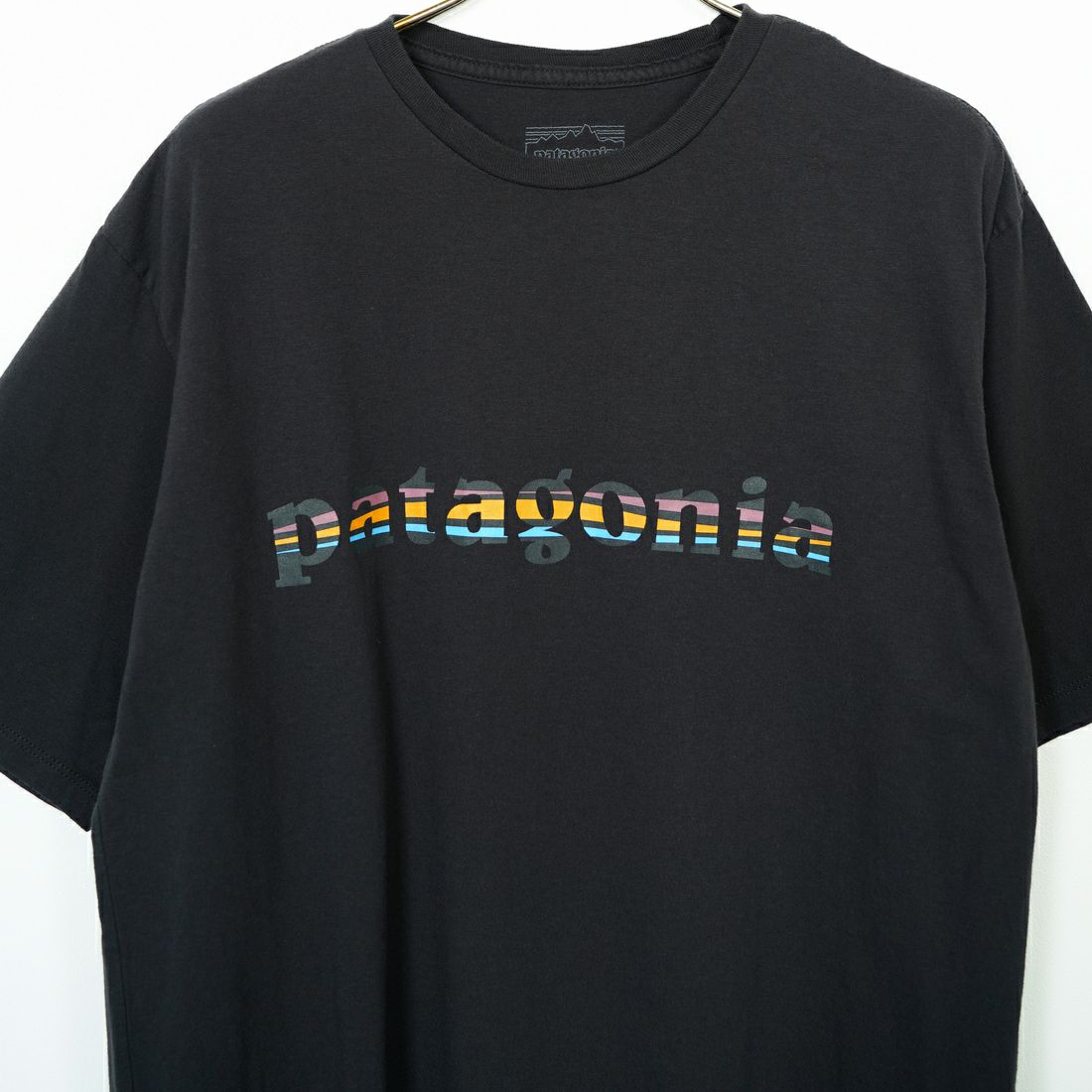 patagonia [パタゴニア] メンズ'73 テキスト ロゴ オーガニックT [37776] INBK