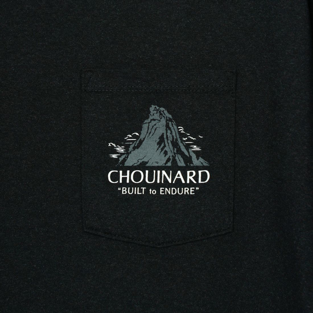 patagonia [パタゴニア] シュイナード クレスト ポケット レスポンシビリティーTシャツ [37770] INBK