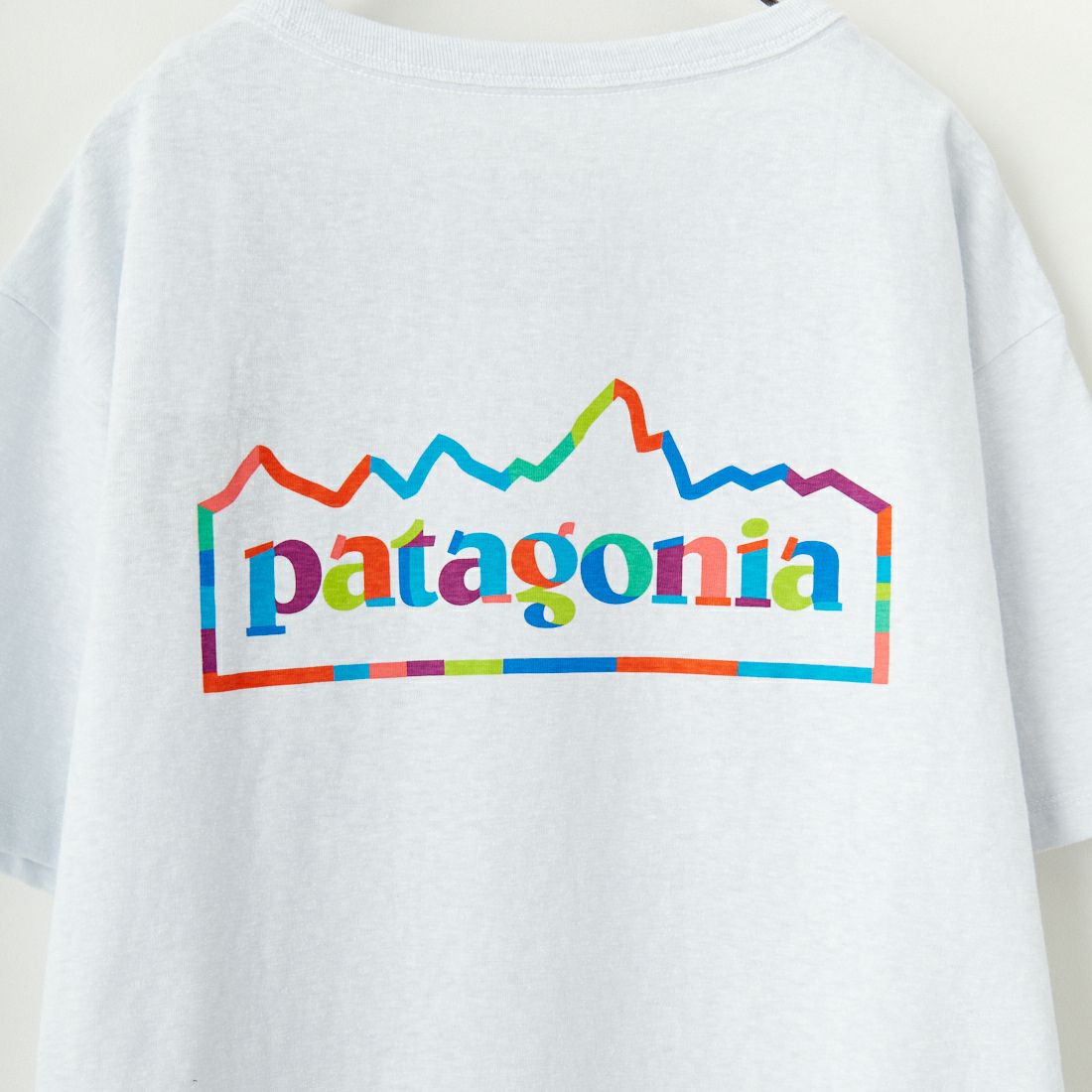 patagonia [パタゴニア] ウィメンズ ユニティフィッツ イージーカットレスポンシビリTシャツ [37769] WHI