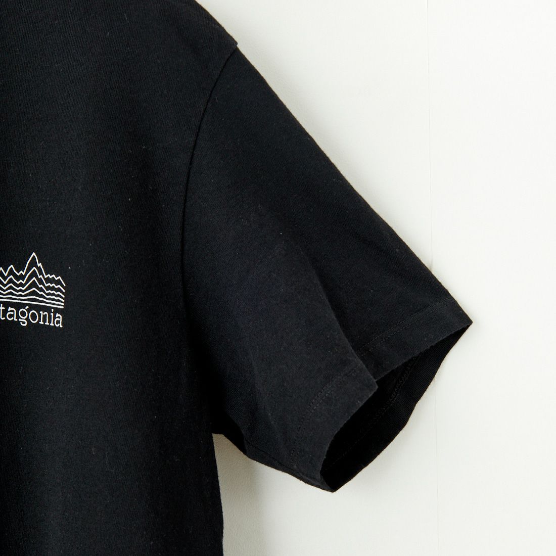 patagonia [パタゴニア] ストラタスパイア レスポンシビリTシャツ [37792] BLK