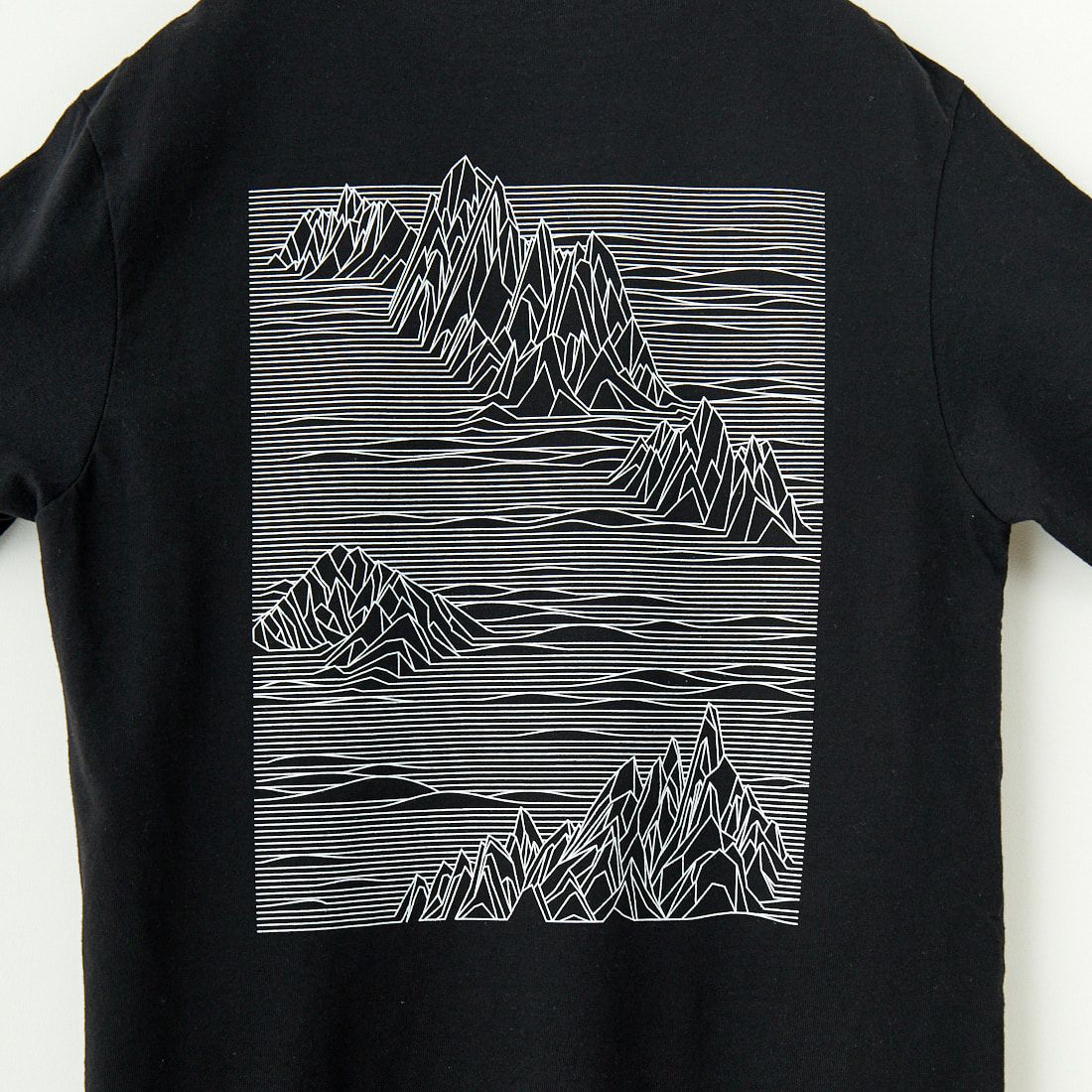 patagonia [パタゴニア] ストラタスパイア レスポンシビリTシャツ [37792] BLK
