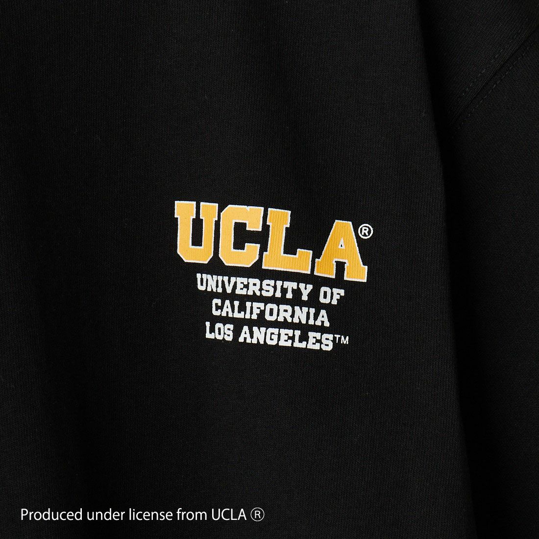 UCLA [ユーシーエルエー] ショートスリーブ プリントTシャツ [252AN2ST422] BLK