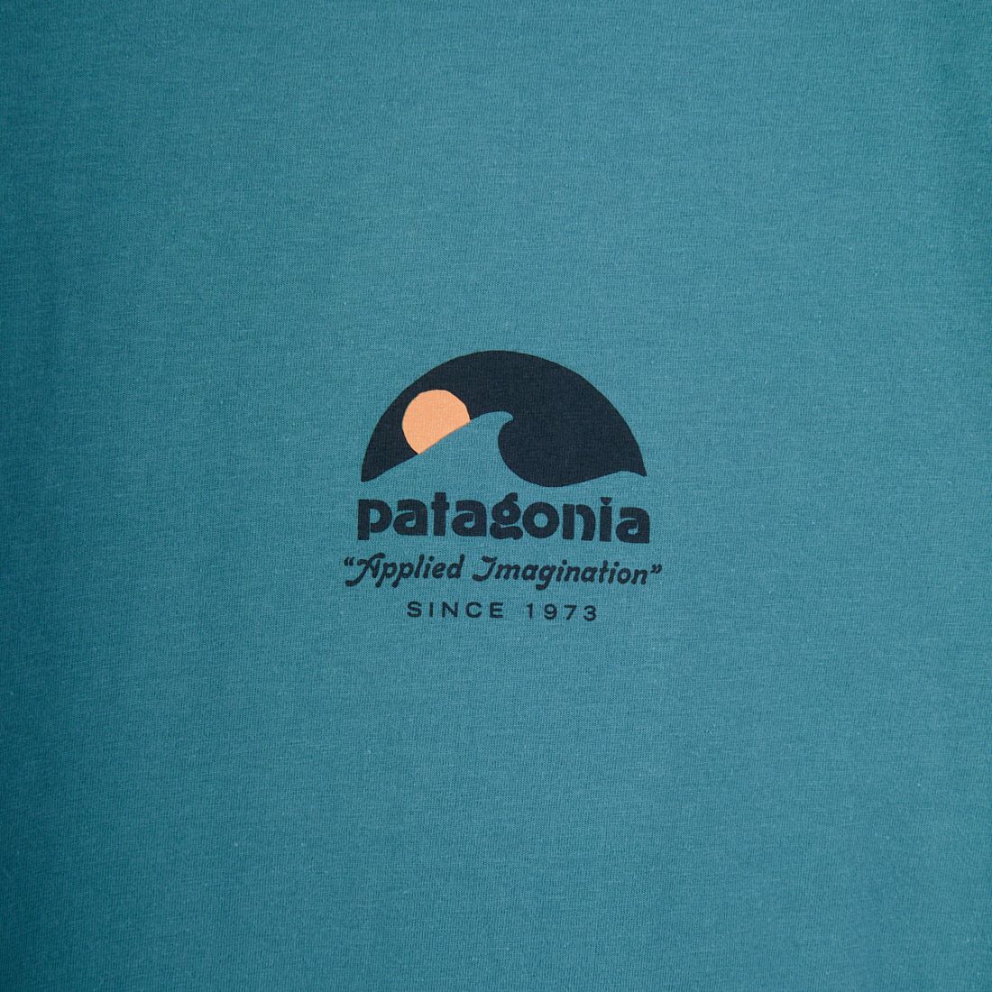 patagonia [パタゴニア] メンズ アプライドイマジネーション オーガニックTシャツ [37800] WLDB