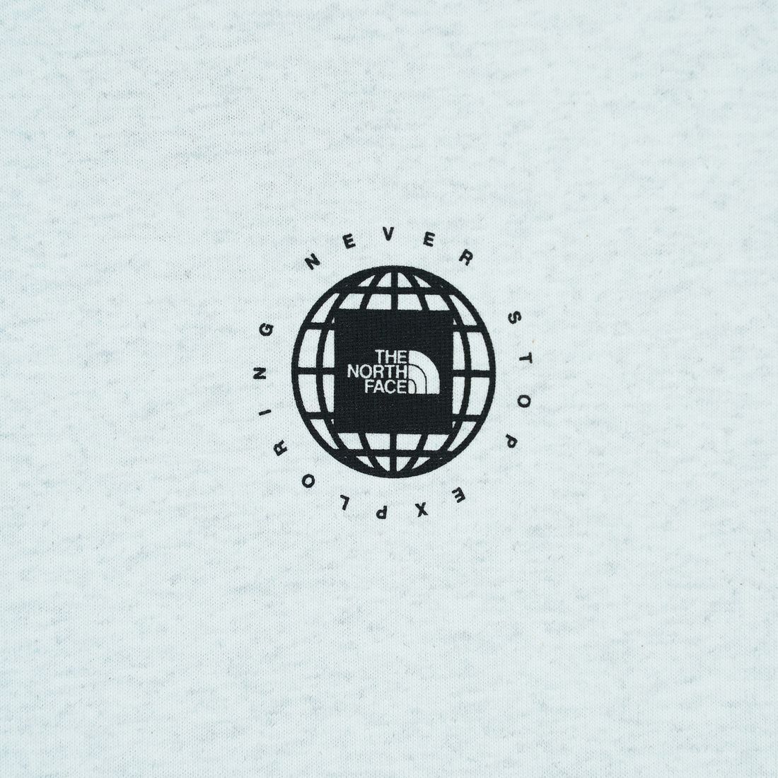 THE NORTH FACE [ザ ノースフェイス] ショートスリーブジオスクエアロゴTシャツ [NT32541] WX