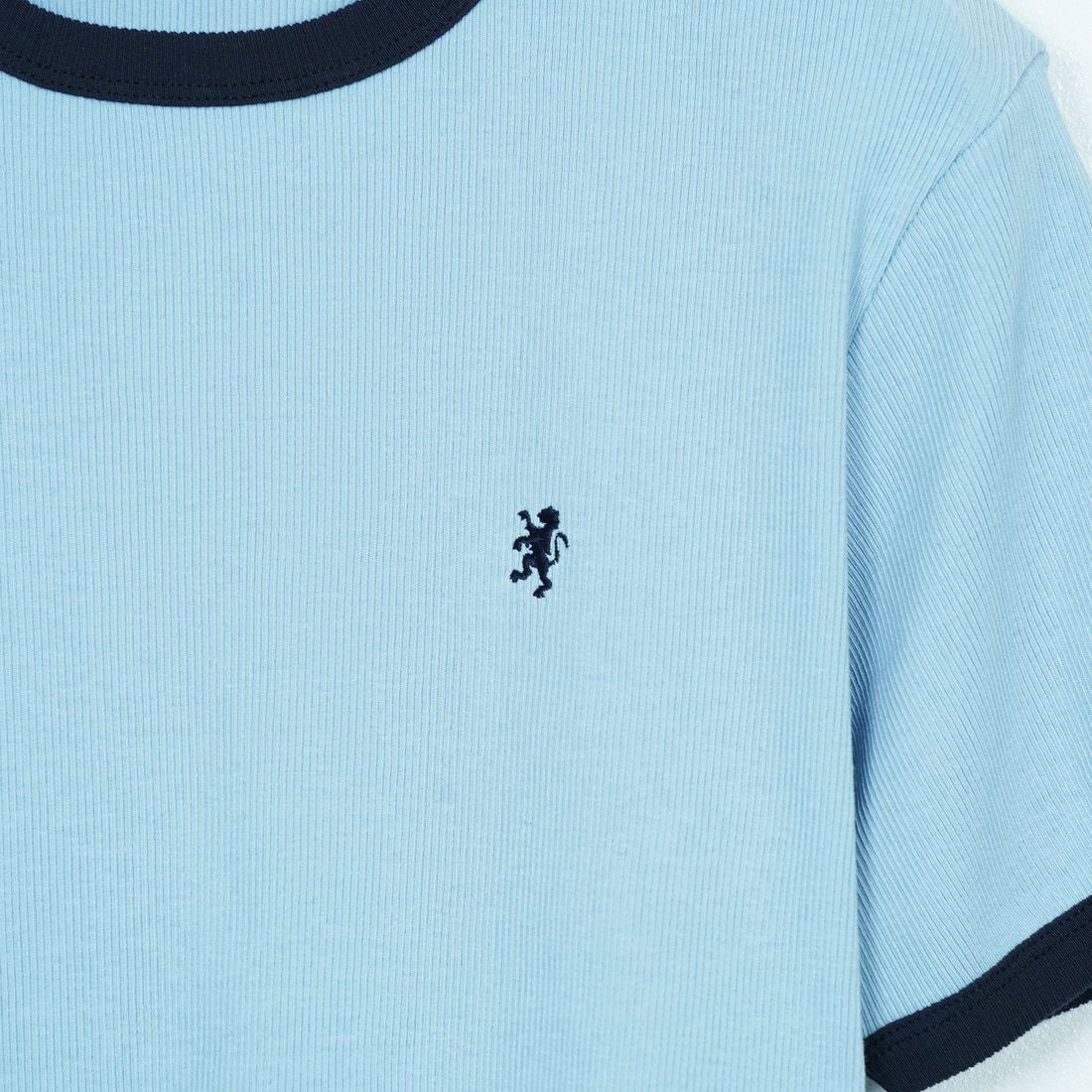 Gymphlex [ジムフレックス] クルーネックリンガーTシャツ [GY-C0326VRL] SAX