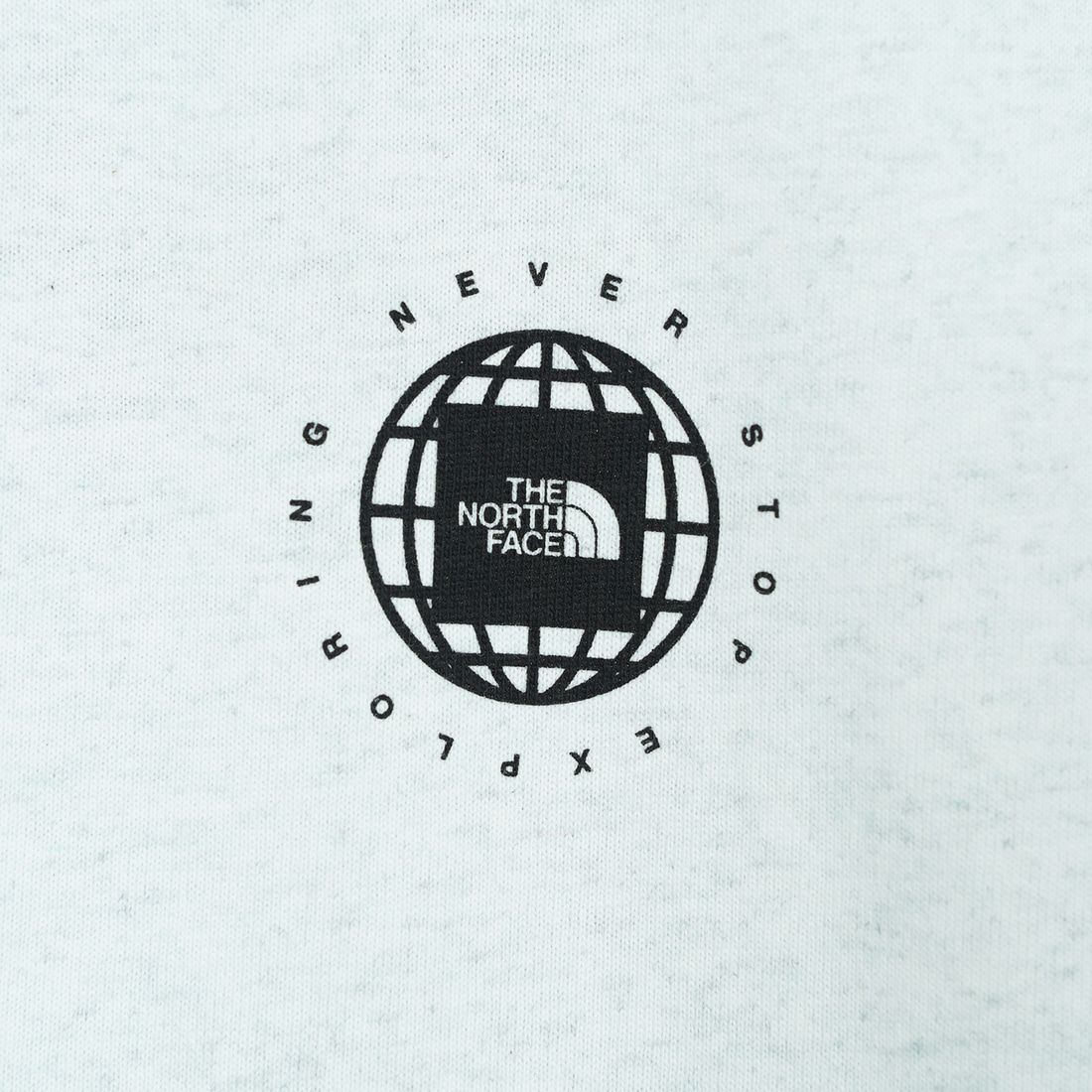 THE NORTH FACE [ザ ノースフェイス] ショートスリーブジオスクエアロゴTシャツ [NT32541] WX