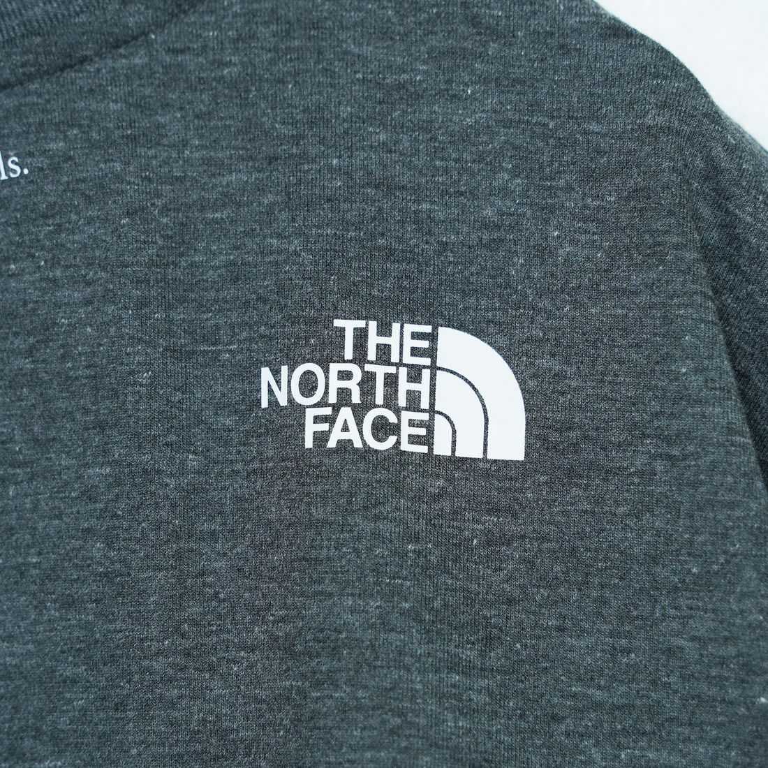 THE NORTH FACE [ザ ノースフェイス] マテリアルフラワーTシャツ [NTW12501] ZC