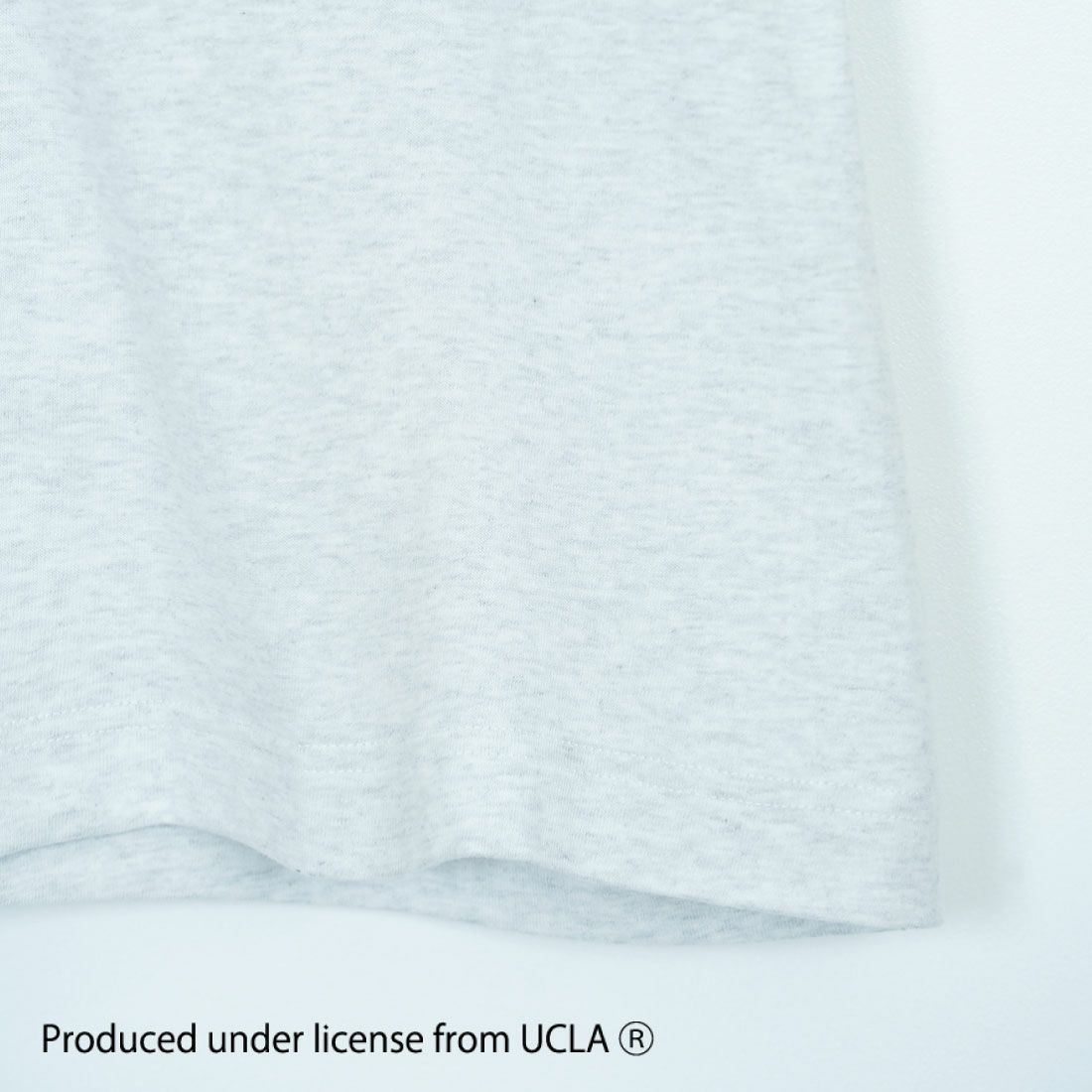 UCLA [ユーシーエルエー] ショートスリーブ サガラ刺繍Tシャツ [252AN2ST416] WHT-2