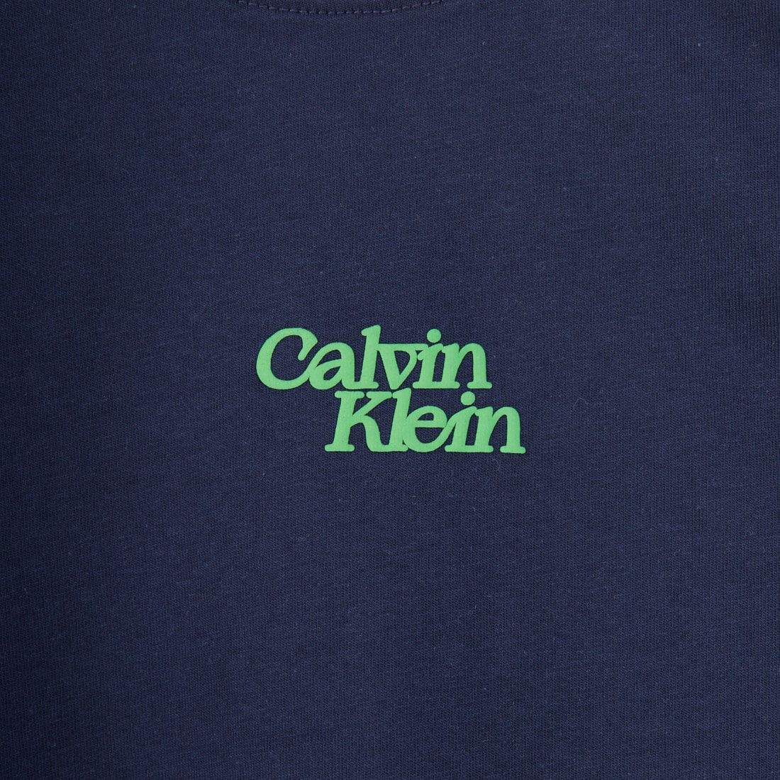Calvin Klein [カルバンクライン] フロックロゴクルーネックTシャツ [47B851G] RNV