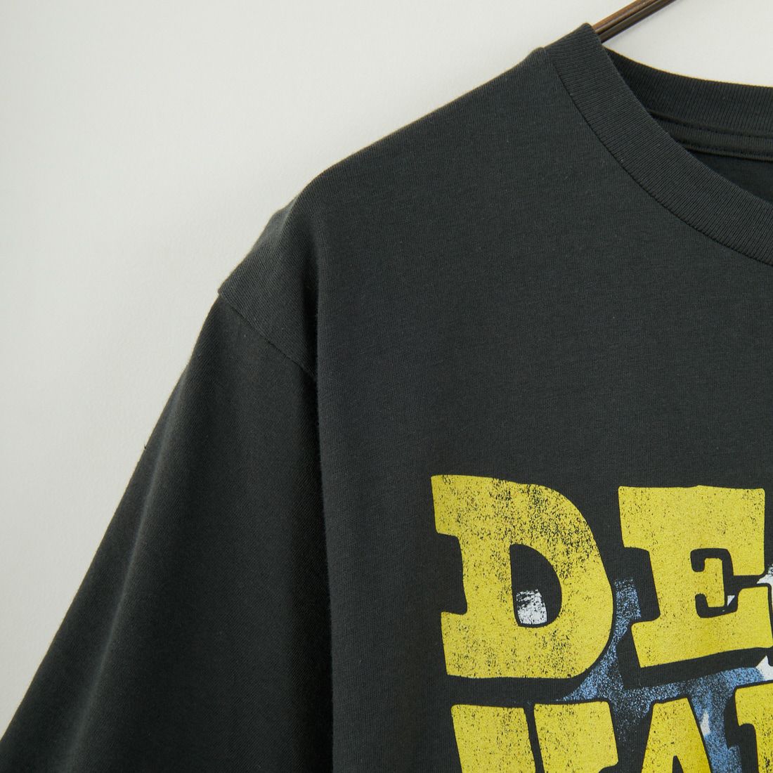 NATIONAL PARKS [ナショナル パークス] デスバレーゴールドフラワーメンズTシャツ [NPCA538] BLACK