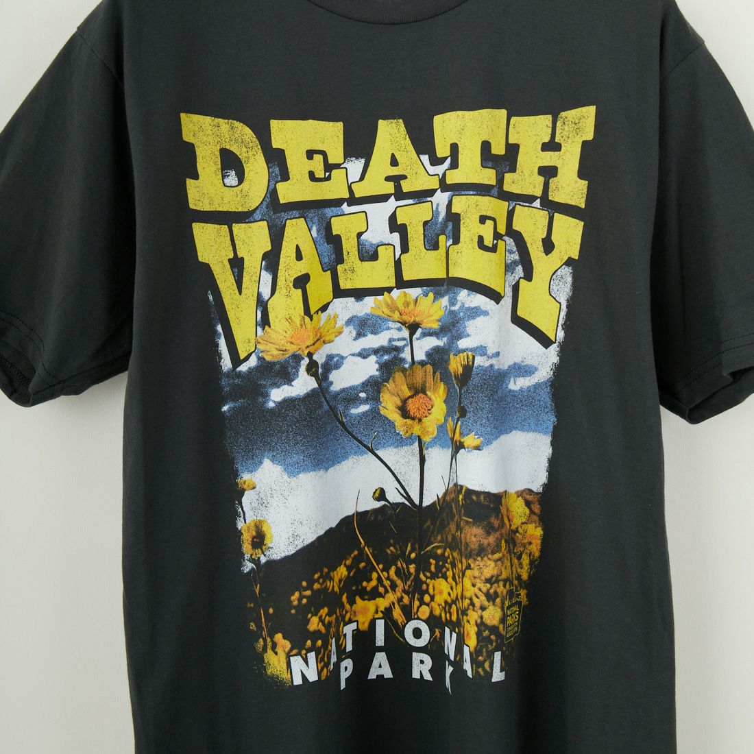NATIONAL PARKS [ナショナル パークス] デスバレーゴールドフラワーメンズTシャツ [NPCA538] BLACK