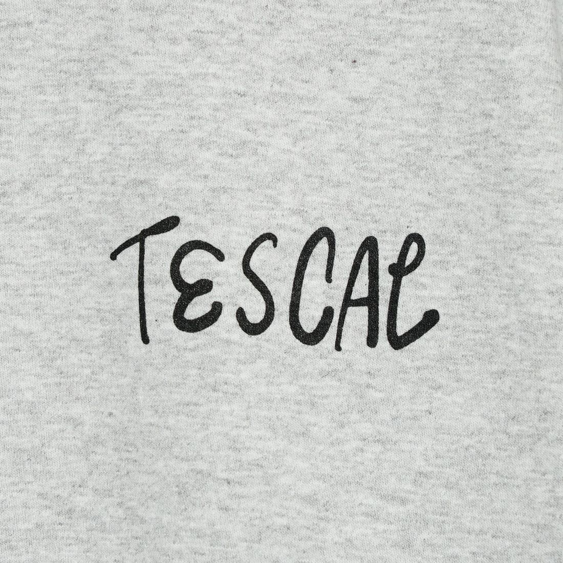 The Endless Summer [エンドレスサマー] 別注 手書き風ロゴ BUHIバックプリントTシャツ [FH-25574502-JF] 03 MIX GRA