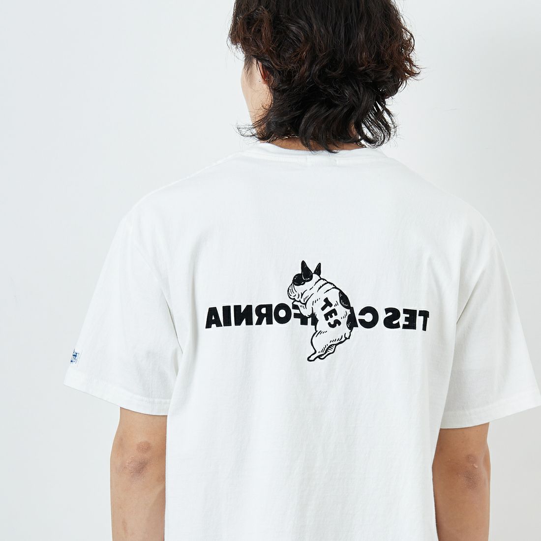 The Endless Summer [エンドレスサマー] 別注 TES CALフロッキーロゴプリントTシャツ [FH-25574504-JF] 07 WHITE &&モデル身長：179cm 着用サイズ：XL&&
